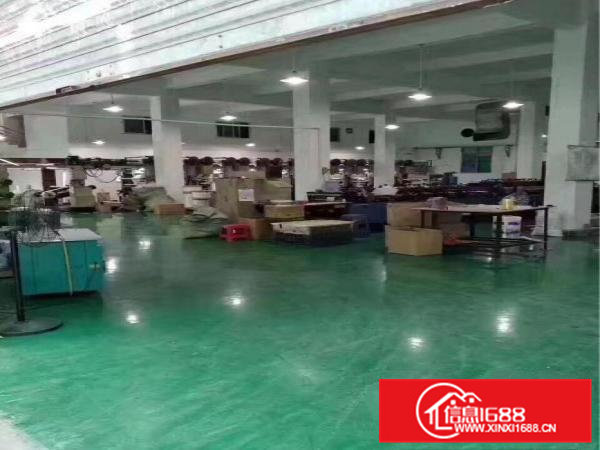 超靓独院厂房分租一楼1050平方出租