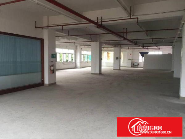 凤岗雁田电商仓库电子包装纸品五金厂房出租大小可分租