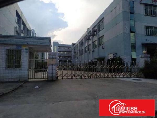 横沥新出原房东厂房出租