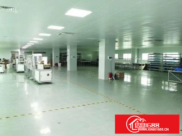 常平还珠沥无尘车间厂房3600平方，豪华装修，主线到位