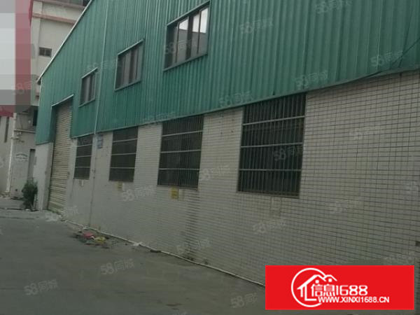 原房东）大朗新出钢构单一层厂房1250平，0公摊，可分租