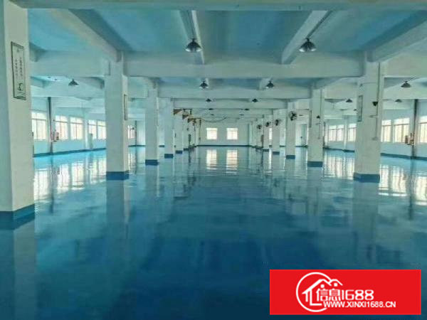 茶山原房东分租厂房一楼2500方无尘车间，可做口罩。17块