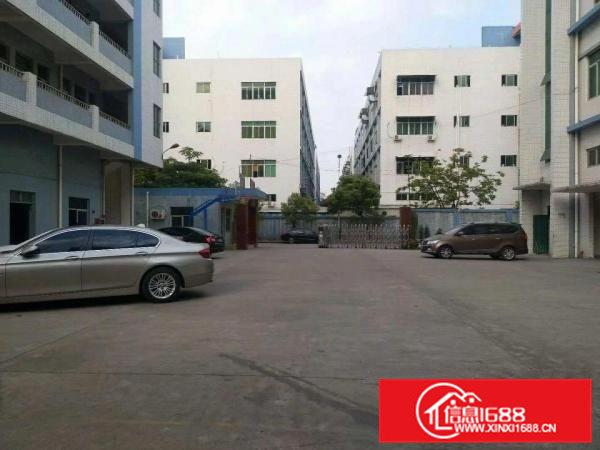 凤岗南岸村全新钢构厂房带隔热层280平方