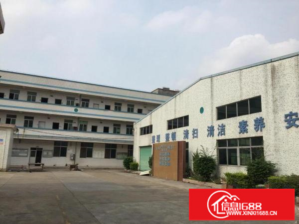 五一大道边900平钢构招租