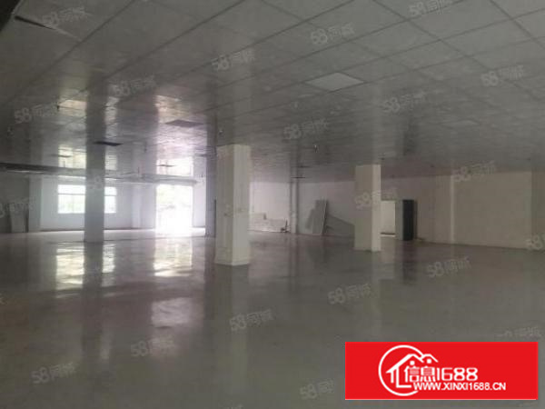 茶山新出独门独院厂房9300平可分租厂房办公楼宿舍各一栋