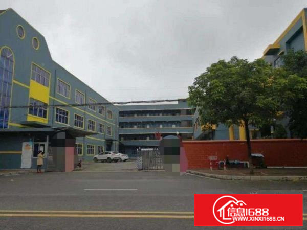 出租横沥高逼格全新翻新工业厂房整层1200起招商