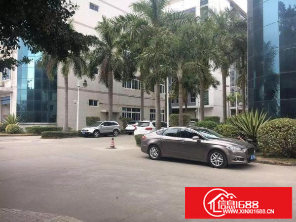 横岗保安社区1楼厂房2268平方高度6米带消防喷淋