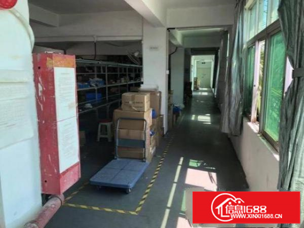 光明薯天埔地铁口站500米厂房仓库办公出租