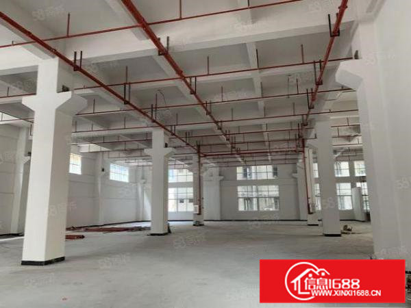 凤岗油甘埔独院厂房出租3000平方200平起分租1楼带牛角。