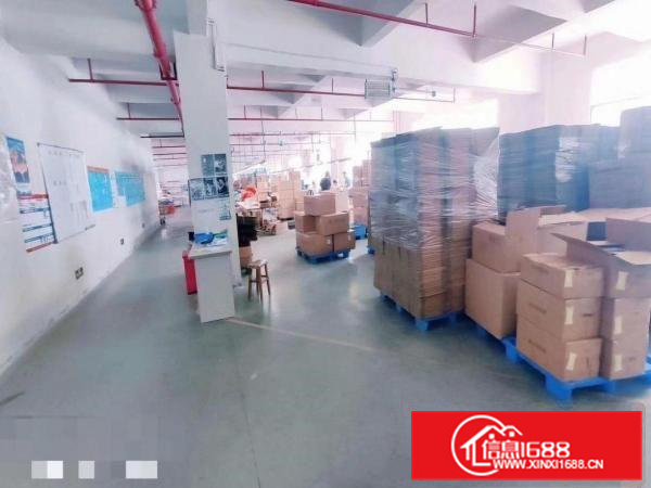 金凤凰新出楼上豪华装修1350平方公摊小价格美丽