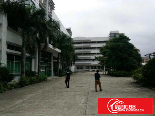 大型厂房出租，2~5万平方米，空地超大，可以做学校