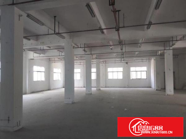 可办环评！仅剩3楼1150平方，消防喷淋！低价出租！！！