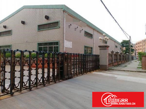 10米高单一层厂房出租36000方