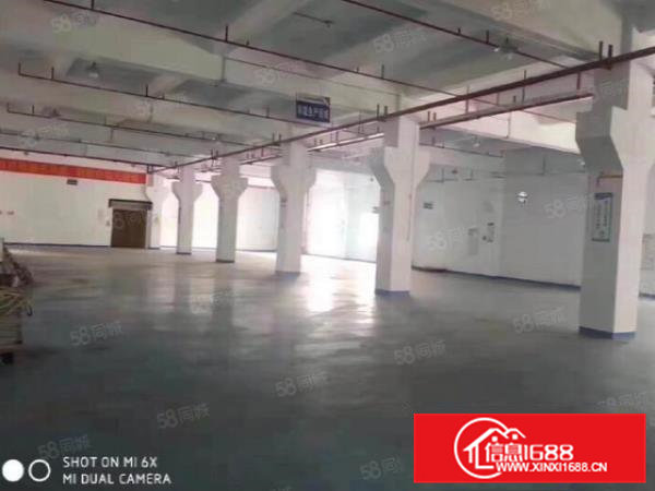 常平楼上标准厂房800平分租，租12元方，精装修带消防喷淋