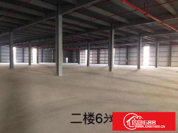 天堂围村新出独院5000平方厂房，面积实在，水电齐全