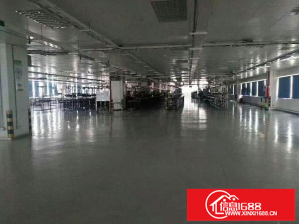 横岗带精装修1000平2000平厂房仓库18元出租