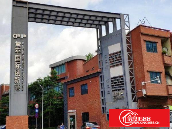 常平木棆厂房出租2500平超合适做口罩，医疗用品，空地大