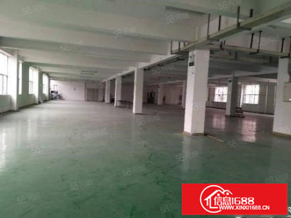 横岗原房东一楼1100平出租，可分租，高度5.5米，