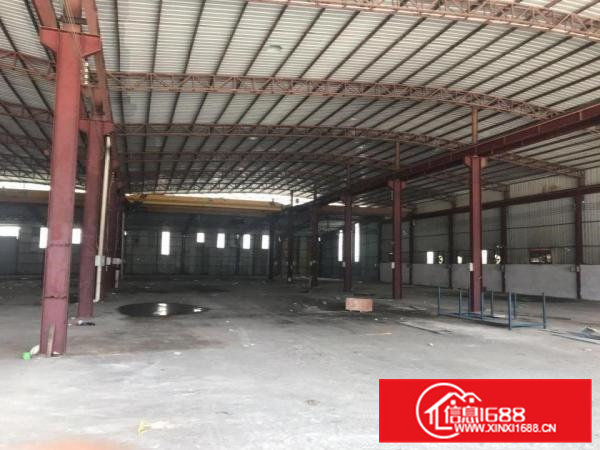 园洲镇全新滴水9米钢构厂房招租