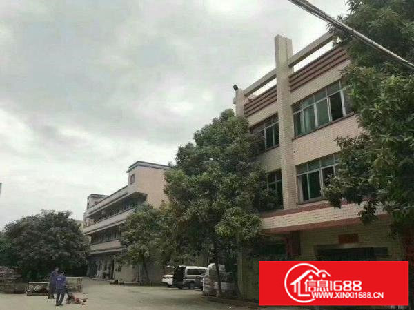 （出租）龙岗坪山金泽一楼剩2600平方在招租。不接受污染行业