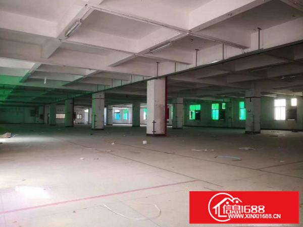 横岗安良新出标准厂房3楼1600平，原房东厂房，低价出租