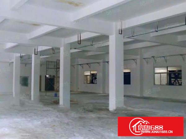 安良工业园新出一楼620平厂房仓库出租，可进大车