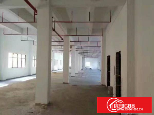 大量各类厂房出租，，，，