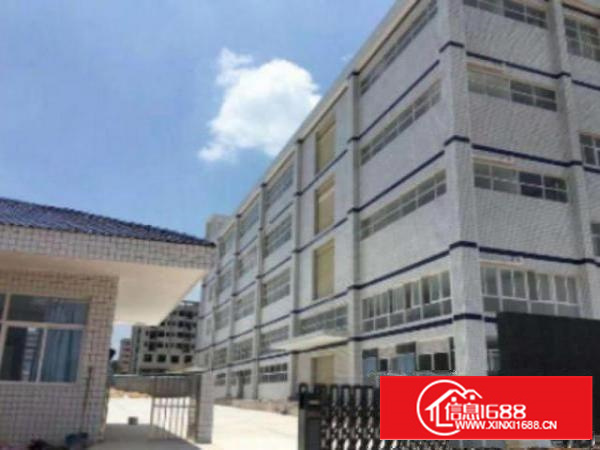 高埗标准1出租800、1000、1500平方出租消防水