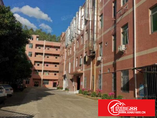 大康独门独院厂房8500平方报价20元合同6年