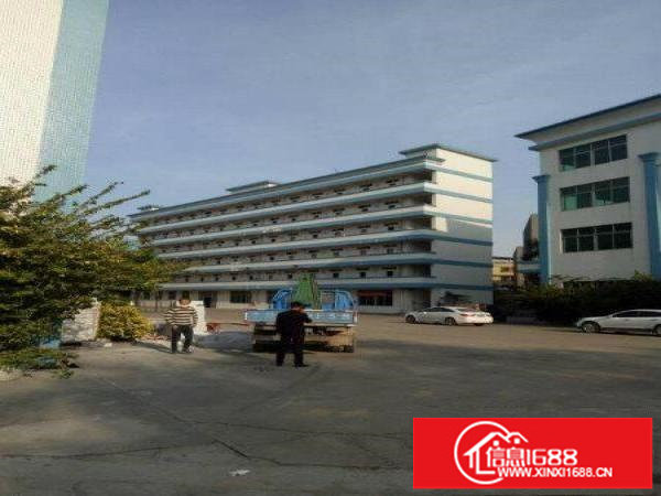 坪山石井原房东独院厂房11200平米出租可分租