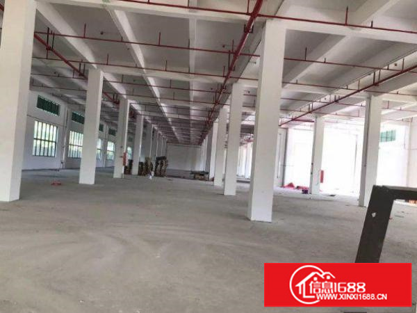平湖新南2楼1500平方厂房招租