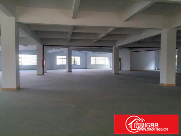 横江厦招租独门独院3800平方标准三层厂房