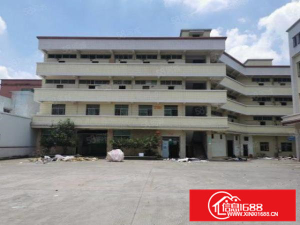 靠松山湖独门独院标准厂房出租可分租独立办公楼工业用地易招工