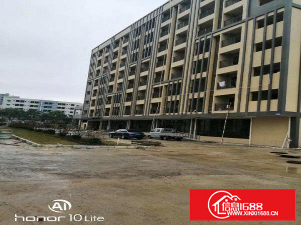 东莞长安新出带红本独门独院高新产业园总面积50000平可分租