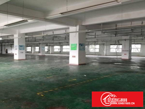 兴东地铁口无公摊1200平方招租
