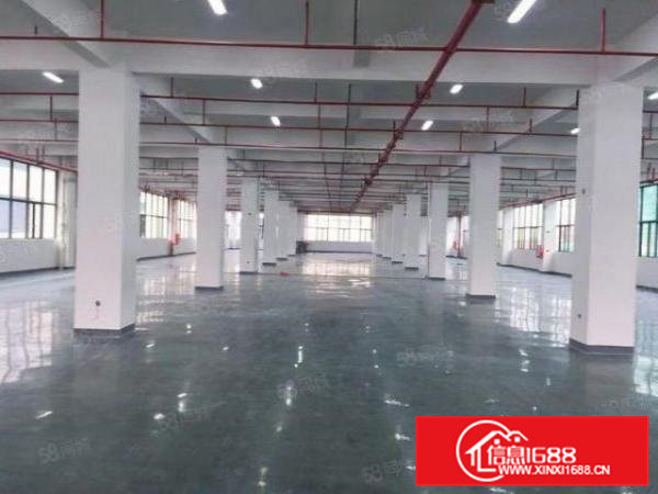 独院5层12000平带独立办公楼，低价急租可分层租