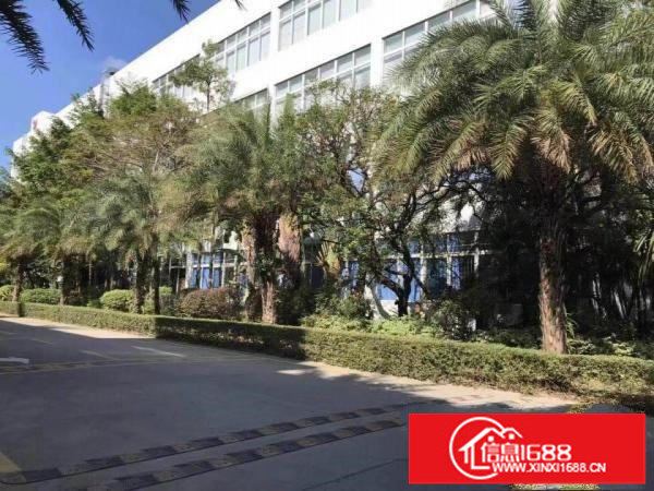 龙岗宝龙原房东花园式厂房15000平方，带消防喷淋，可分租