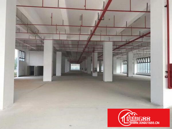 坪山大工业区保税区红本厂房280000平米可分租