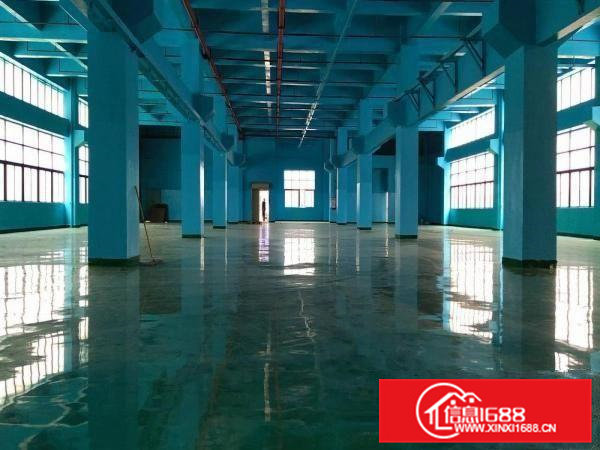 凤岗原房东高新产业园一二楼各2600平方可分租