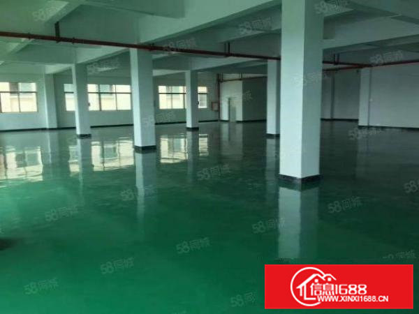 厂房出租横沥镇新出原房东独门独院精装修厂房水电齐全入住可生产