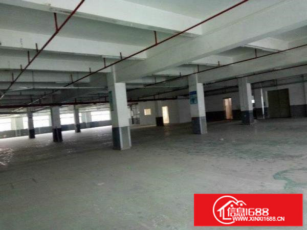 横沥独院标准厂房分租二楼2200平方出租带喷淋消防