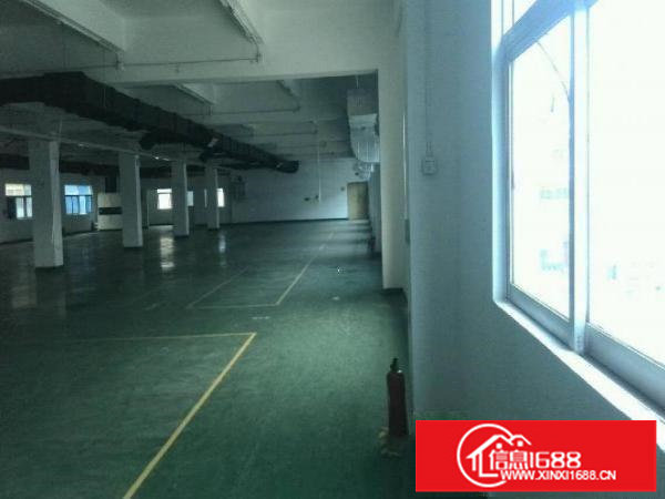 新空出独门独院8000平米厂房出租