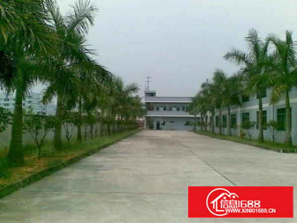 万江豪华工业园多栋厂房1000平方起租