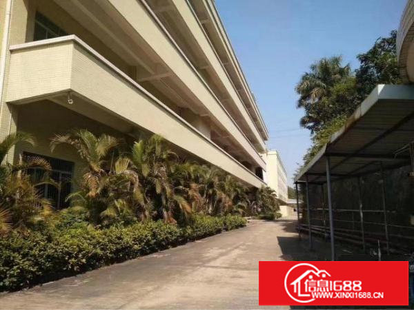 坪地红本厂房18000平方米招租