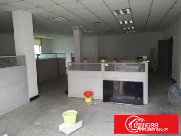 惠州秋长独门独院标准钢构厂房2600平方，滴水6米