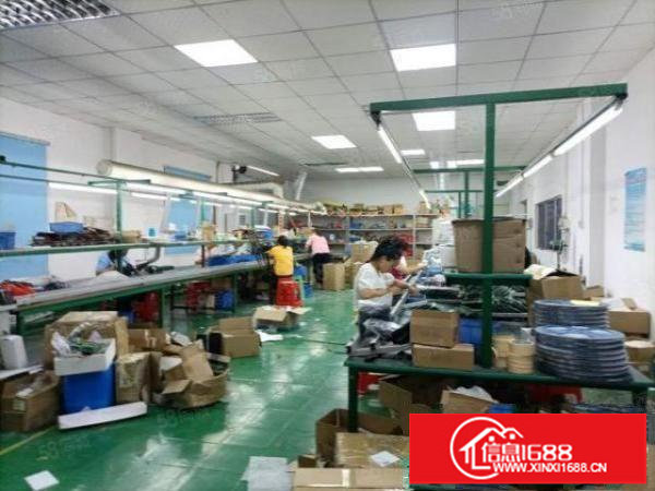 塘尾地铁口楼上300平精装修，现已空出