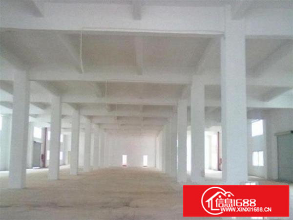 一楼出租可分租500平，880平，1250平招租