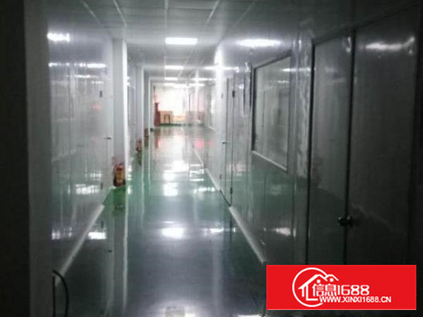 出租宝安区石岩水田无尘室车间 仓库 办公室