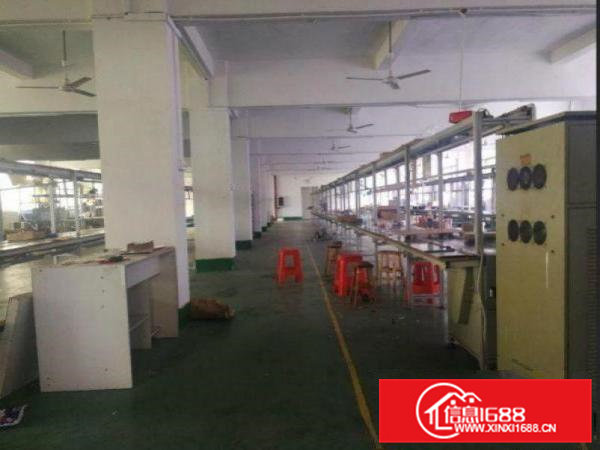 青皇一楼标准楼房500平方米出租，无公摊，水电齐全