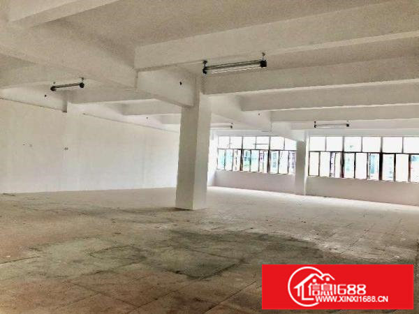 坂田亚洲工业园新出238平430平718平956平带装修出租